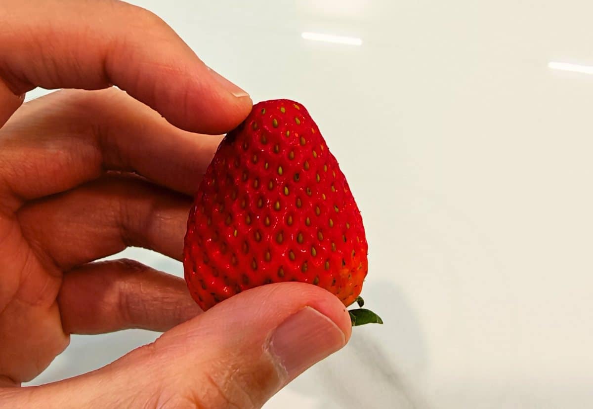 Signs Tell You Which Strawberries Are Actually Sweet