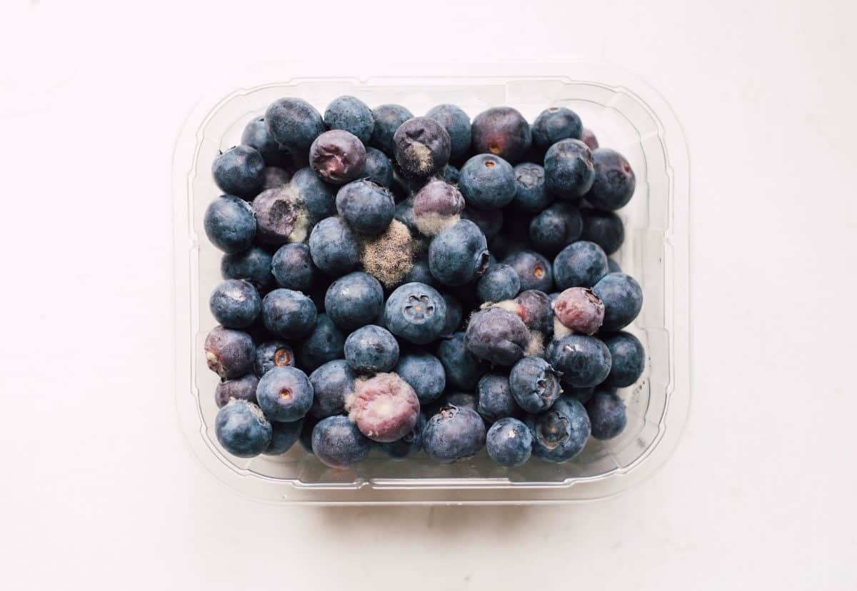 Why Your Blueberries Go Moldy So Fast