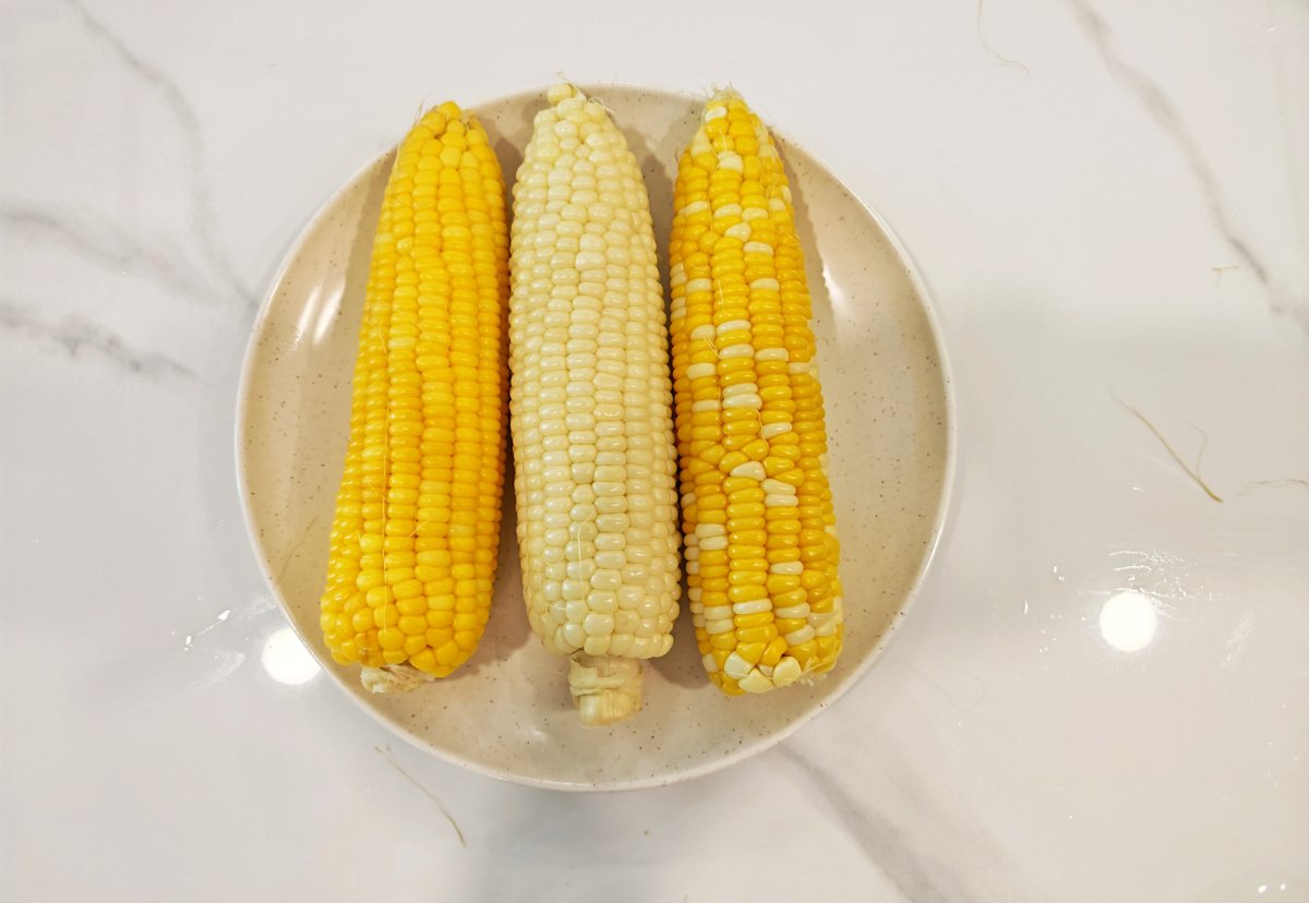 White, Yellow, or Bicolor Sweet Corn