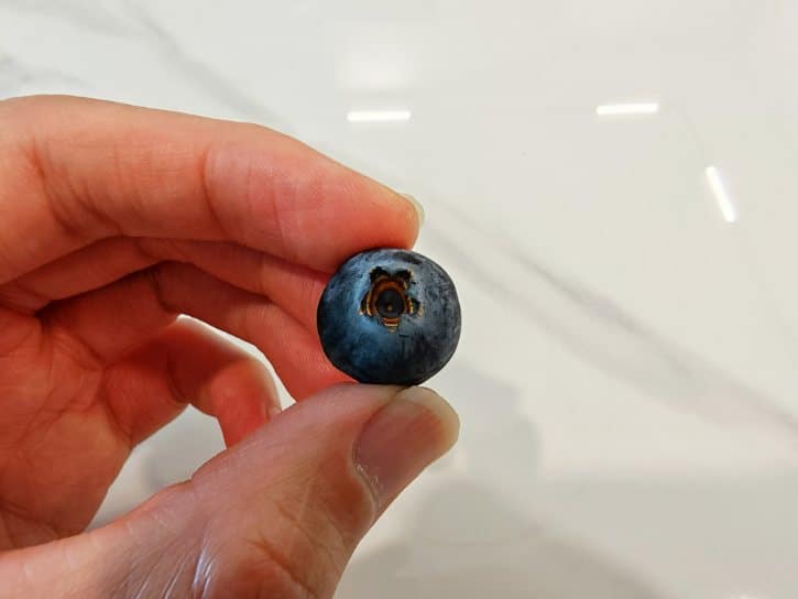 Fresh Blueberry With White Bloom